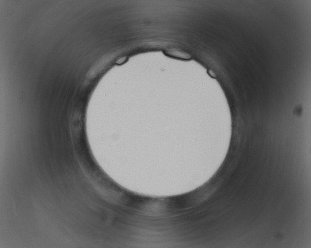 X0000115730116200912241634
