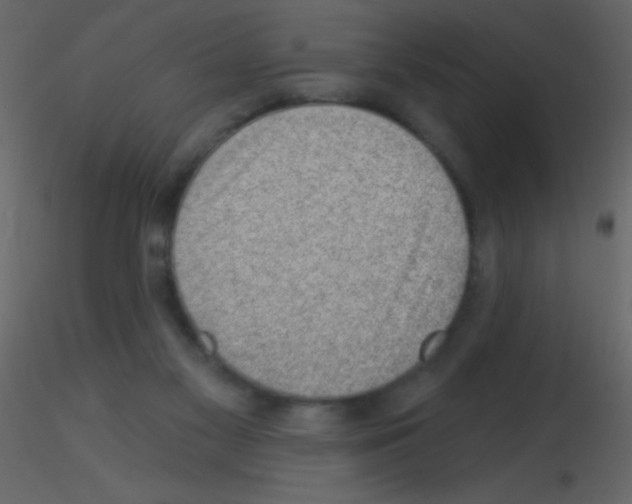 X0000115730117200912241634