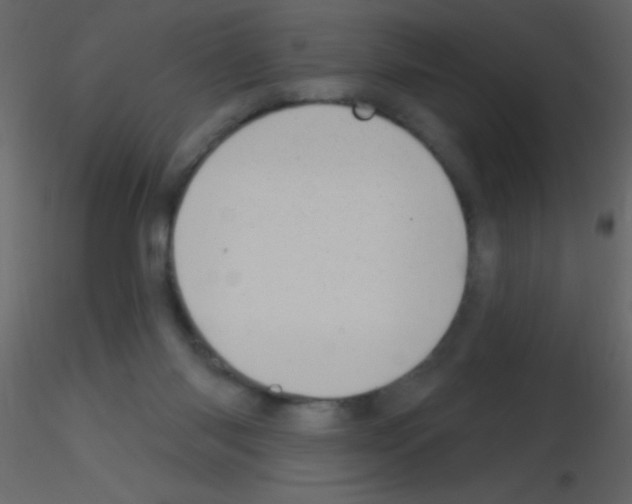 X0000115730118200912241634