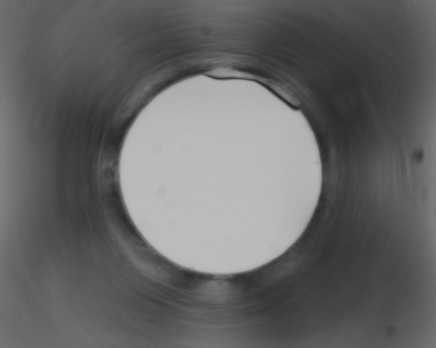 X0000115730119200912241634