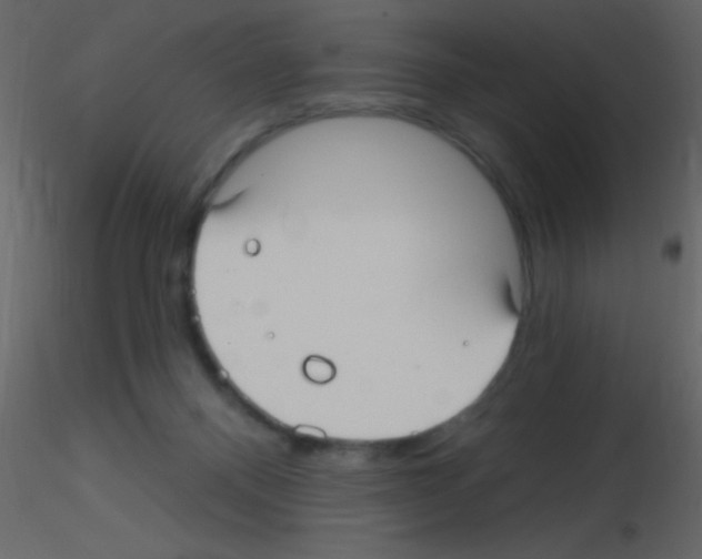 X0000115730120200912241634