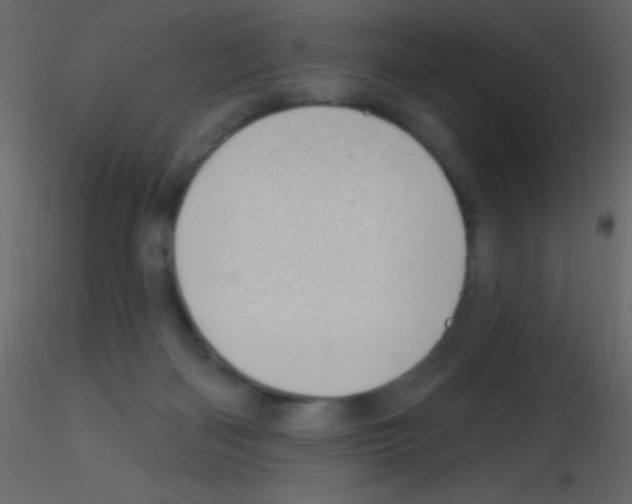 X0000115730122200912241634