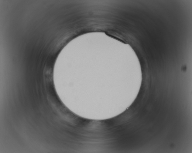 X0000115730123200912241634