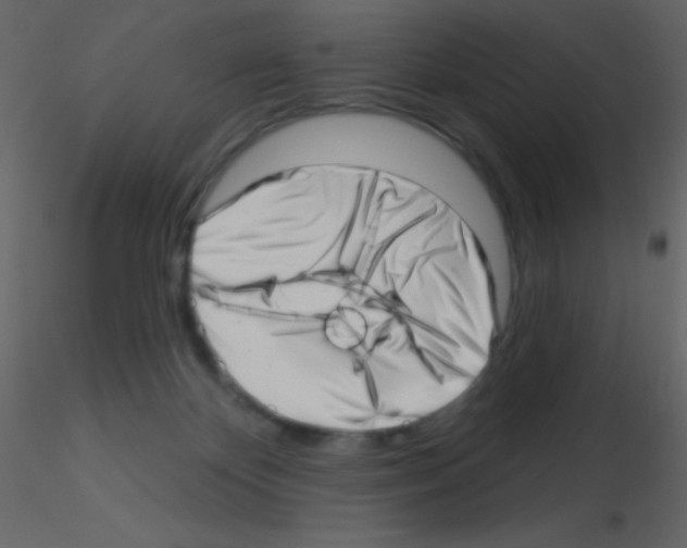 X0000115730124200912241634