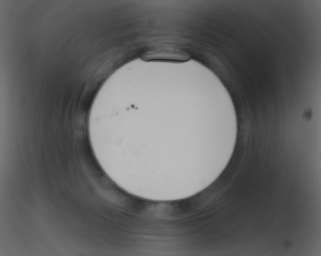 X0000115730125200912241634