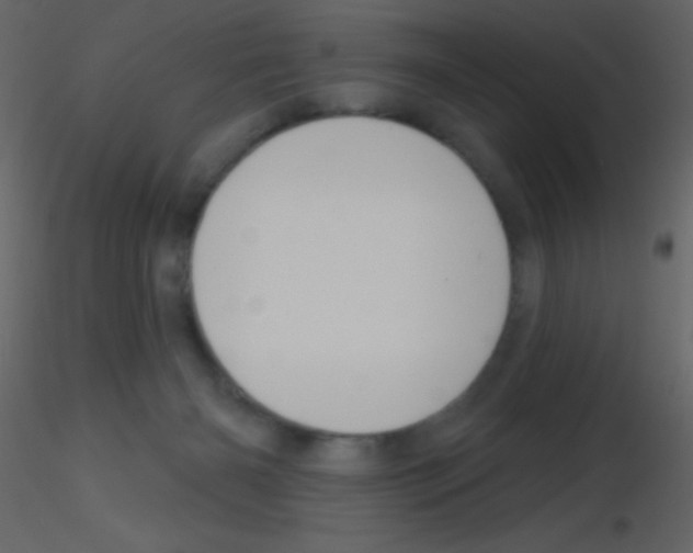 X0000115730126200912241634