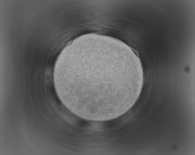X0000115730127200912241634