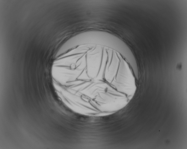 X0000115730128200912241634
