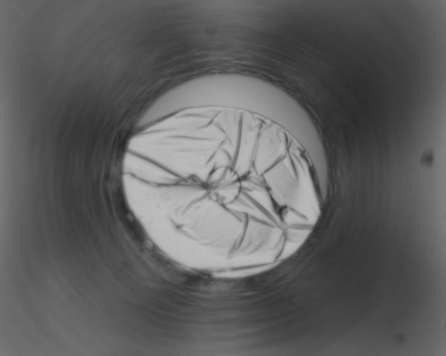 X0000115730129200912241634