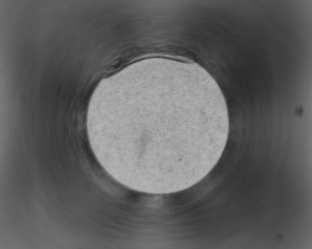 X0000115730131200912241634