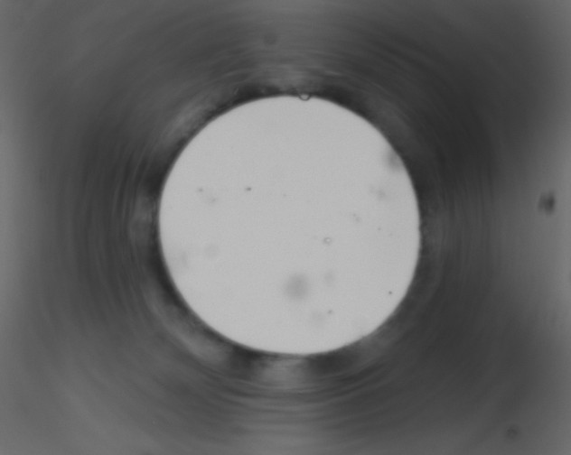 X0000115730132200912241634