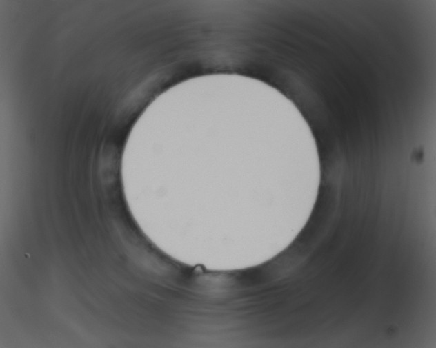 X0000115730133200912241634