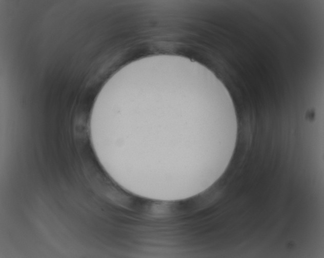 X0000115730134200912241634