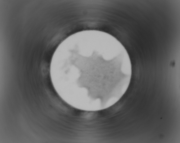 X0000115730135200912241634