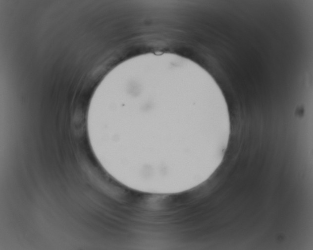 X0000115730136200912241634