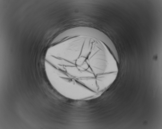 X0000115730137200912241634
