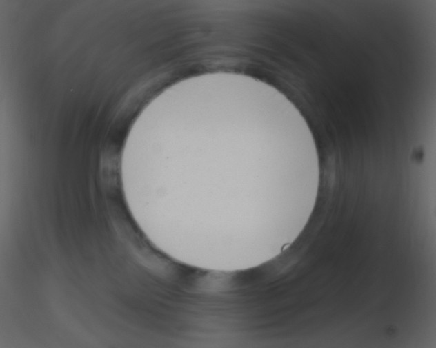 X0000115730138200912241634