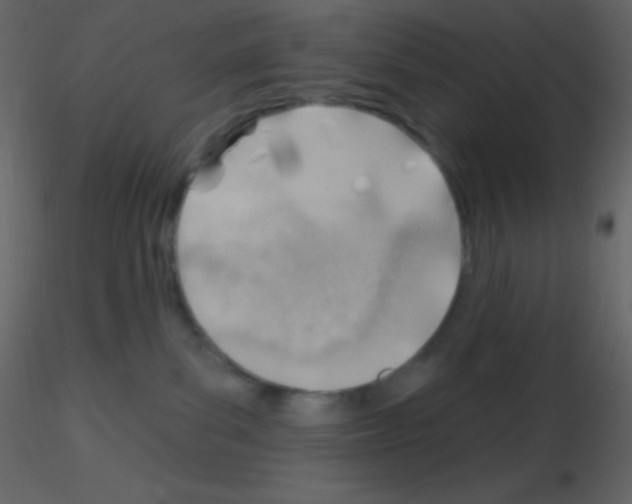 X0000115730139200912241634