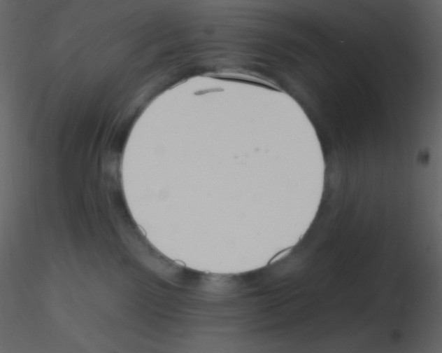 X0000115730141200912241634