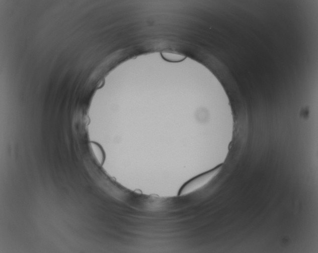 X0000115730142200912241634
