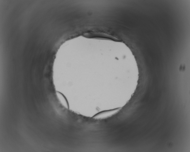 X0000115730144200912241634