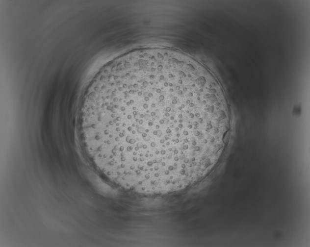 X0000115730145200912241633