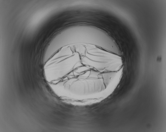 X0000115730146200912241633