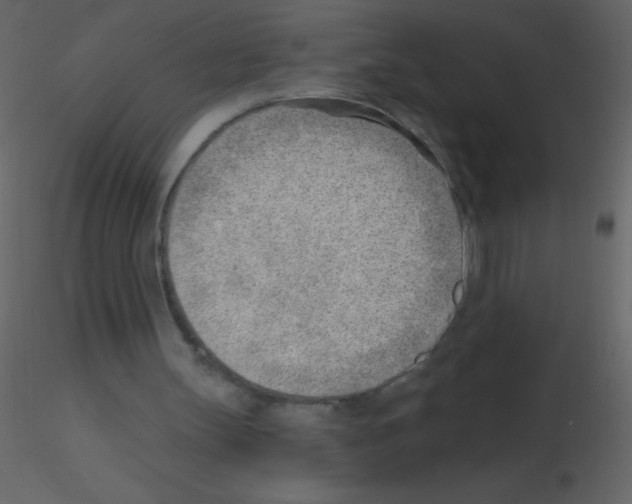 X0000115730147200912241633