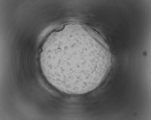 X0000115730149200912241633