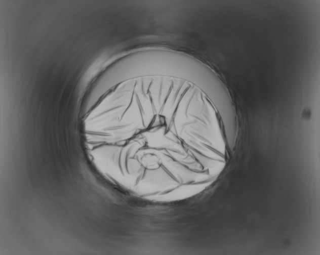 X0000115730150200912241633