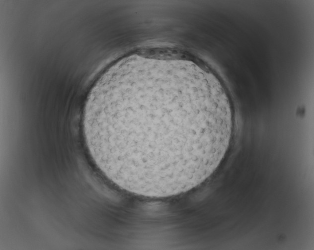 X0000115730153200912241633