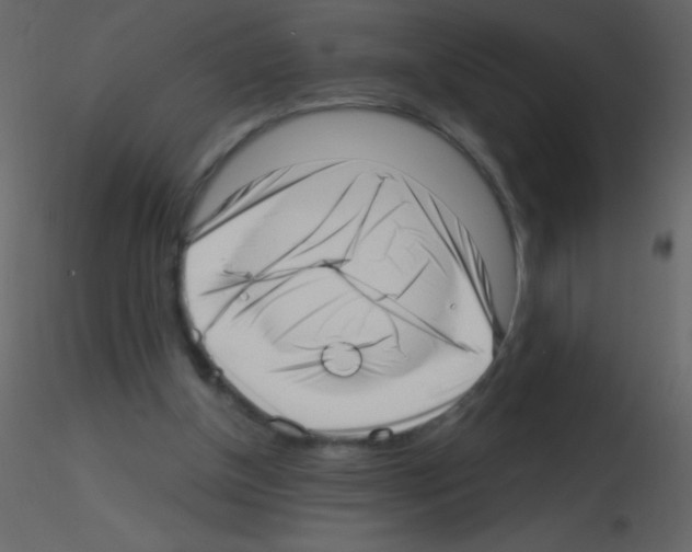 X0000115730154200912241633
