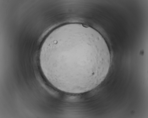 X0000115730155200912241633