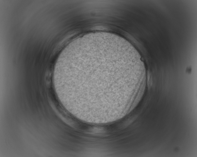 X0000115730157200912241633