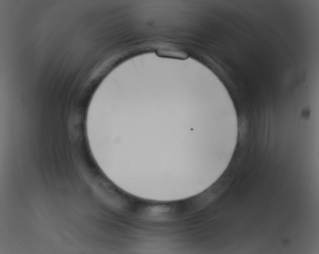 X0000115730158200912241633
