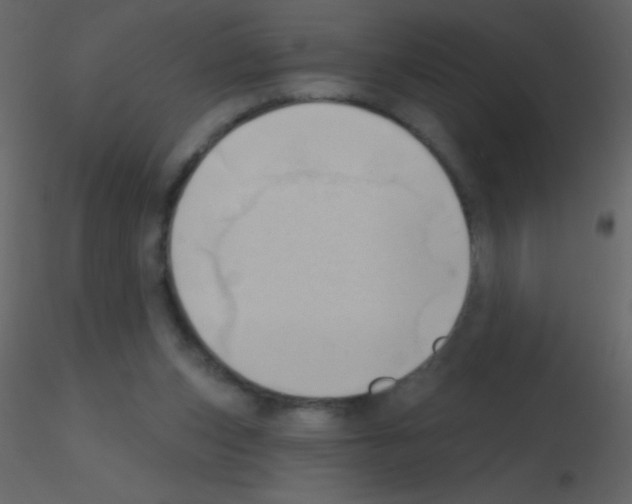 X0000115730159200912241633