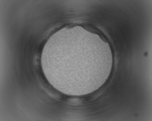 X0000115730161200912241633