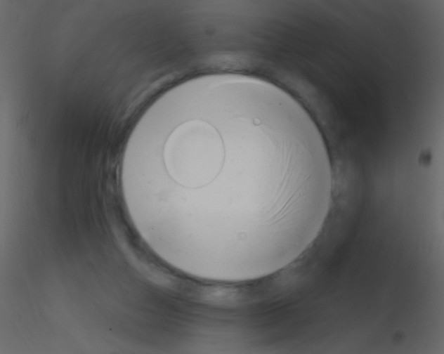 X0000115730162200912241633