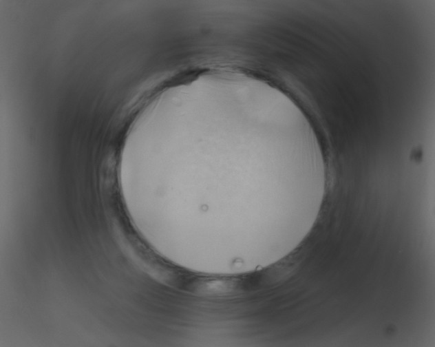 X0000115730163200912241633