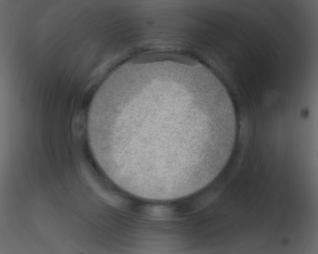 X0000115730165200912241633