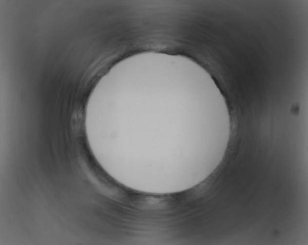 X0000115730166200912241634