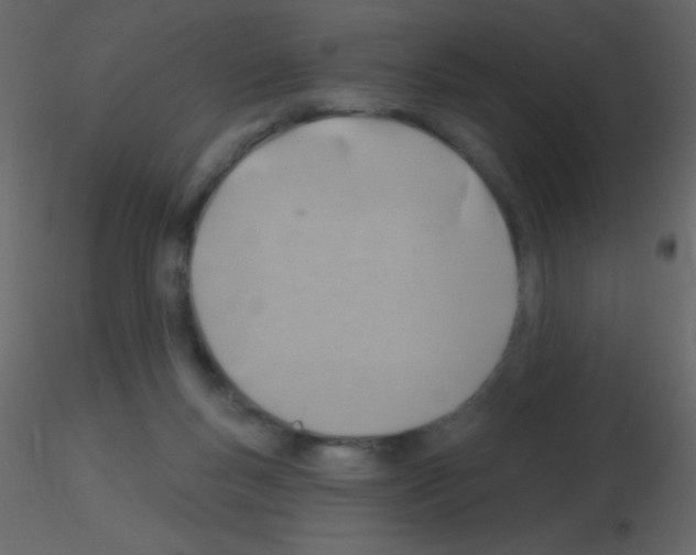 X0000115730167200912241634