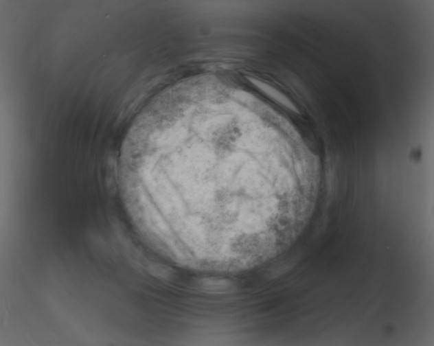 X0000115730169200912241634