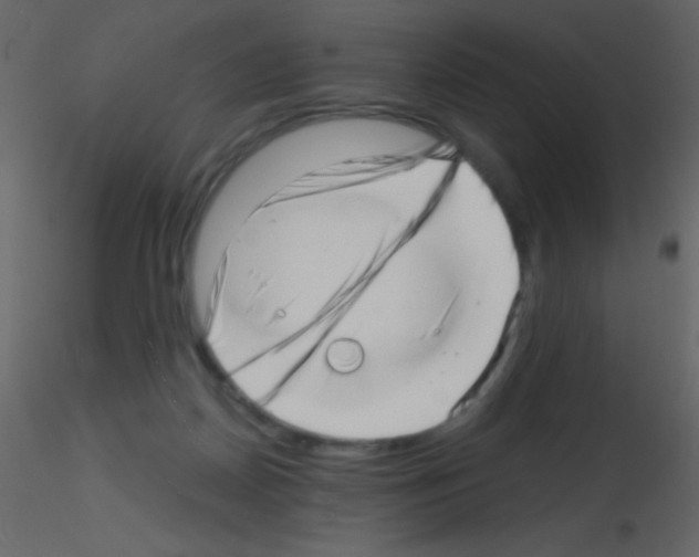 X0000115730170200912241634