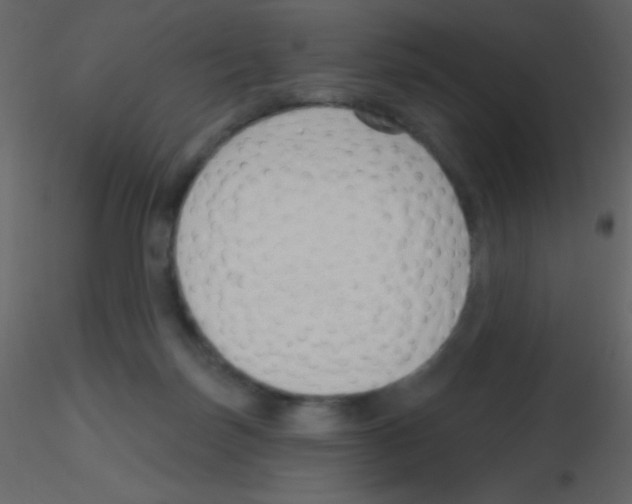 X0000115730171200912241634