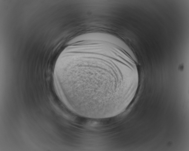 X0000115730174200912241634
