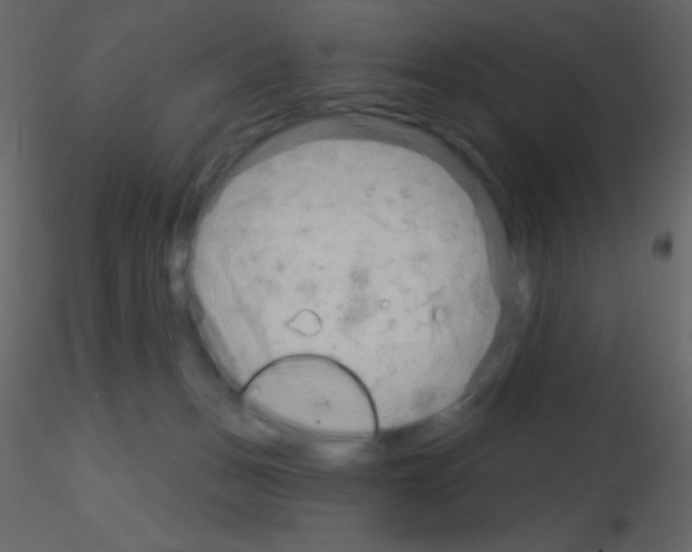 X0000115730175200912241634