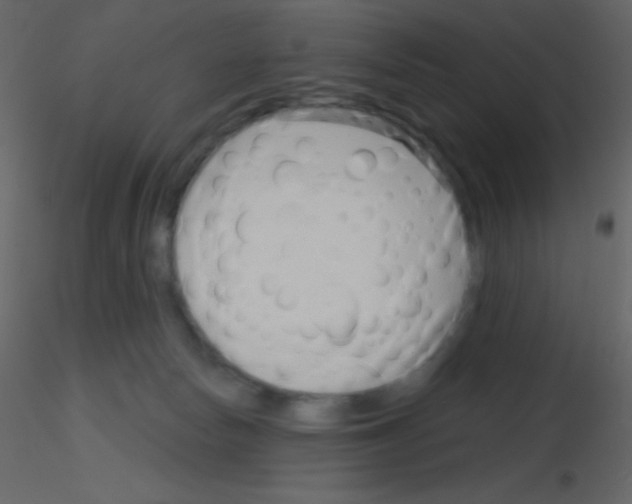 X0000115730178200912241634