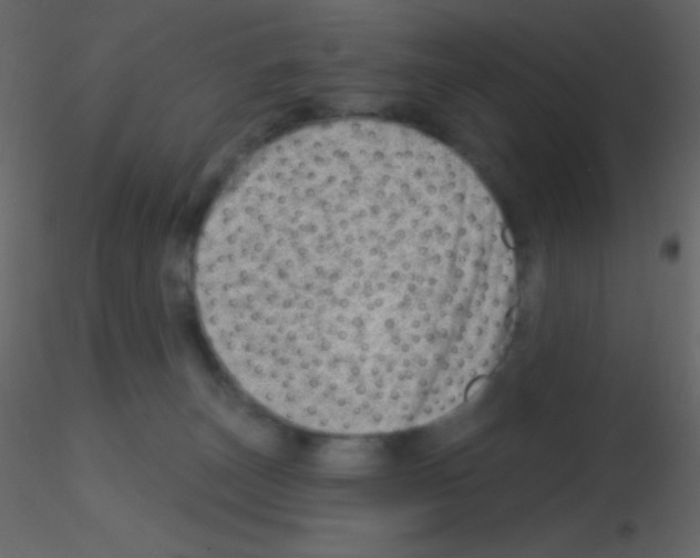 X0000115730179200912241634