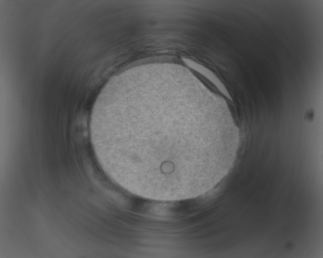 X0000115730182200912241634